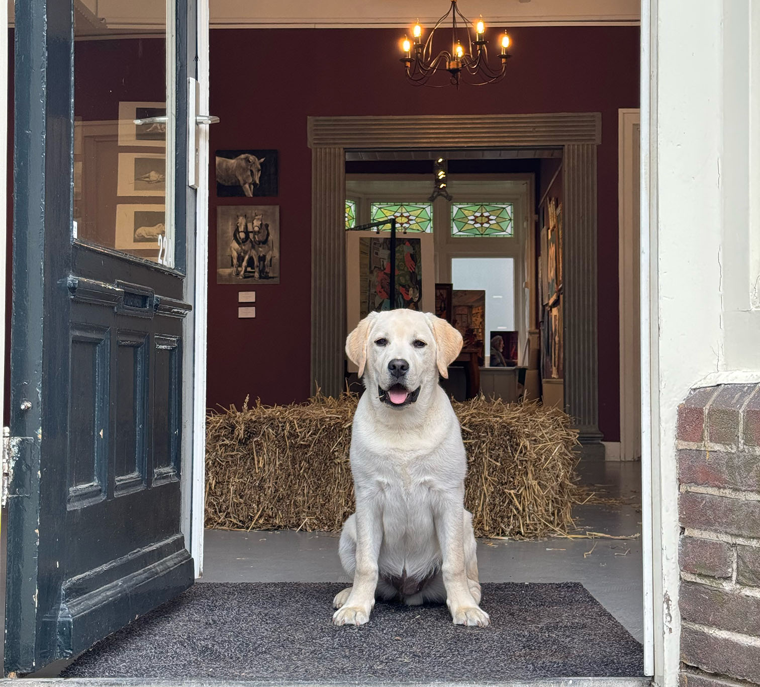 Boter, de labrador van Spotted Horse Gallery